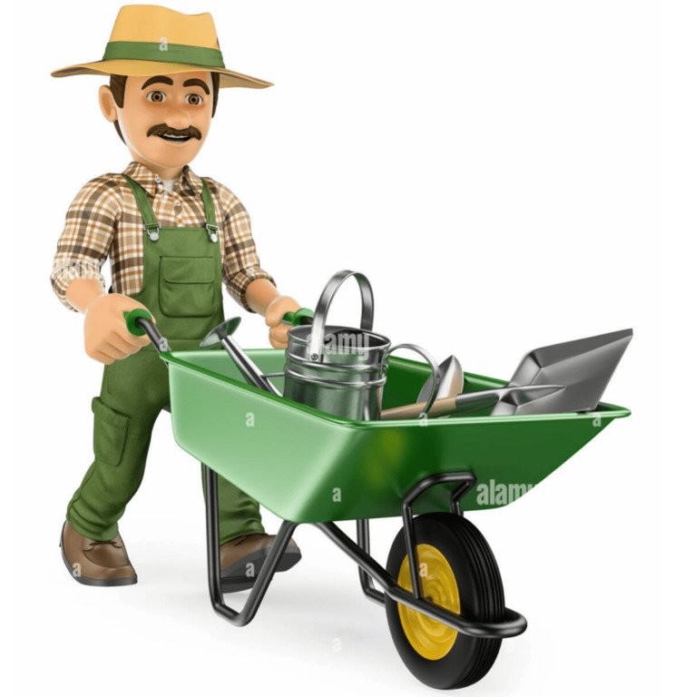 Lucrari peisagistice