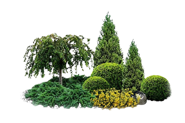 Design peisagistic si lucrari